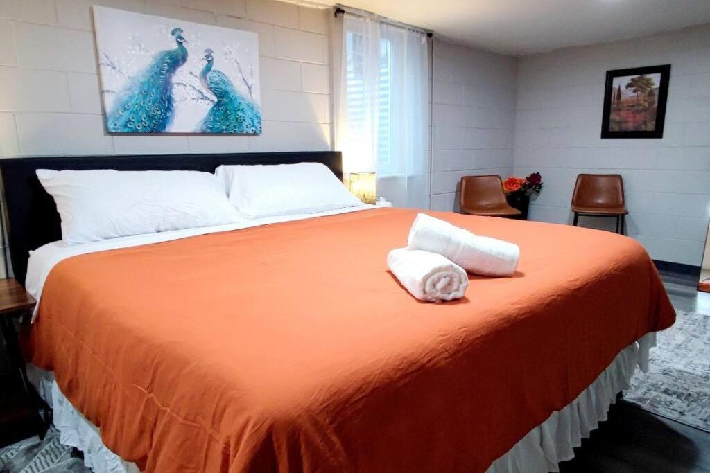 Spacious Suite Close To Downtown Indy/ King Bed Indianapolis Exterior photo